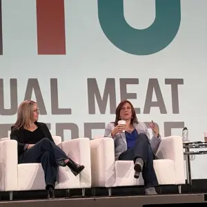 Anne-Marie Roerink speaking during a panel discussion