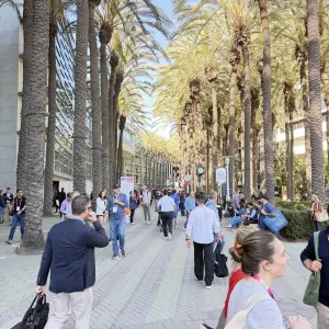 Perfect weather in So California