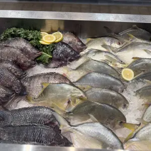 Wide variety of fresh fish