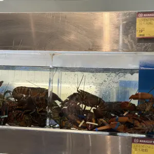 Let's talk Fresh Fish and Lobster