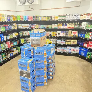 Large Wlak in Beer and Wine refrigerator