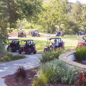 Olive Golf  _30.jpg