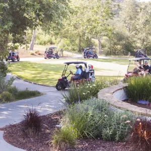 Olive Golf  _32.jpg