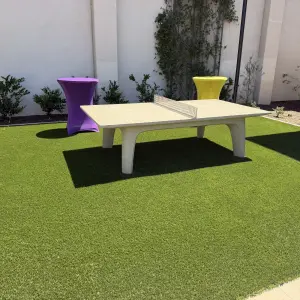 Outdoor gathering area with ping pong table